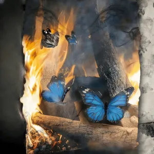 Pochette de catharsis de GRiZ