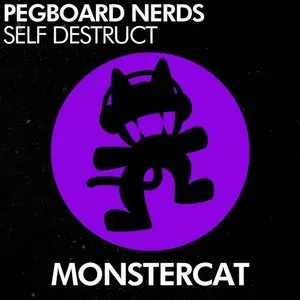 Pochette de Self Destruct de Pegboard Nerds