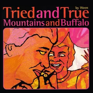 Pochette Tried and True / Mountains and Buffalo