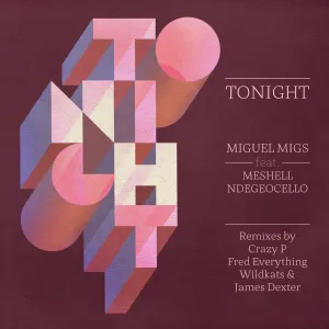 Pochette de Tonight de Meshell Ndegeocello