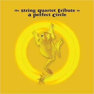 Pochette de The String Quartet Tribute to A Perfect Circle de Vitamin String Quartet