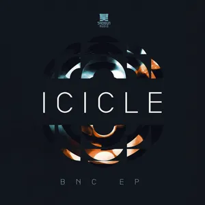 Pochette BNC EP