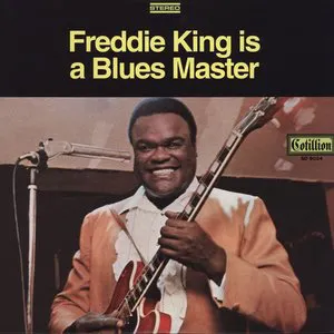 Pochette Freddie King Is a Blues Master