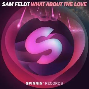 Pochette de What About The Love de Sam Feldt