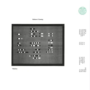 Pochette de Muldrew de Joseph Shabason