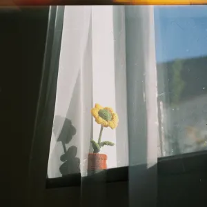 Pochette de Men senı taptym de Kunzharyq