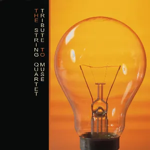 Pochette de The String Quartet Tribute to Muse de Vitamin String Quartet