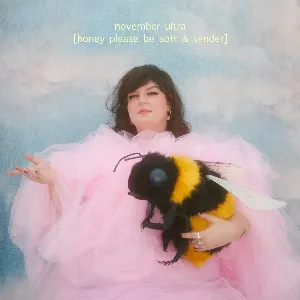 Pochette de Honey Please Be Soft & Tender de November Ultra