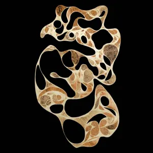 Pochette de River Bend de Ueda Takayasu