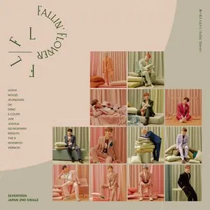 Pochette de Fallin' Flower de SEVENTEEN