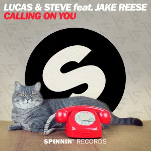Pochette de Calling on You de Lucas & Steve
