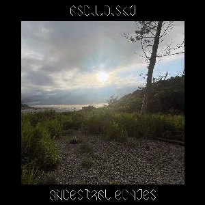 Pochette de Ancestral Echos de Ascii.Disko
