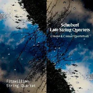 Pochette Late String Quartets