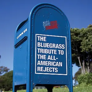 Pochette The Bluegrass Tribute to the All‐American Rejects