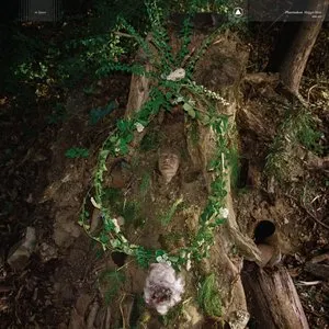 Pochette de Maggot Mass de Pharmakon