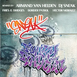 Pochette de Funky Rhythm de DJ Sneak