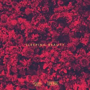 Pochette de Sleeping Beauty de Epik High