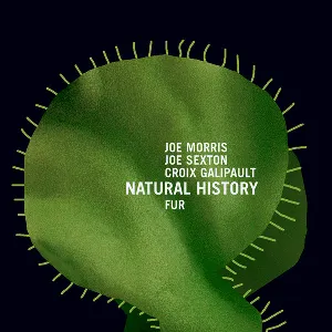 Pochette de Natural History de Joe Morris