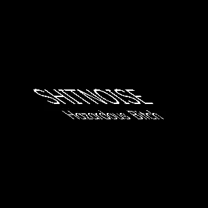 Pochette de Hazardous Bitch / Deal With It de ShitNoise