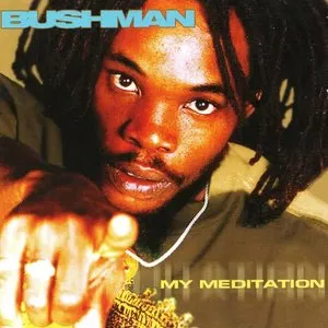Pochette de My Meditation de Bushman