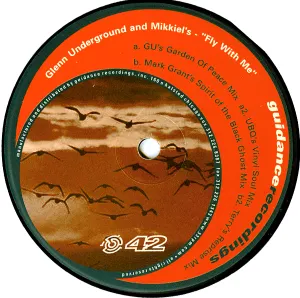 Pochette de Fly With Me de Glenn Underground