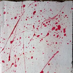 Pochette de Improvisaciones caseras de Bear Bones, Lay Low