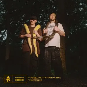 Pochette de What U Got de Virtual Riot