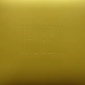 Pochette de Thuggin’ EP de Freddie Gibbs - Madlib