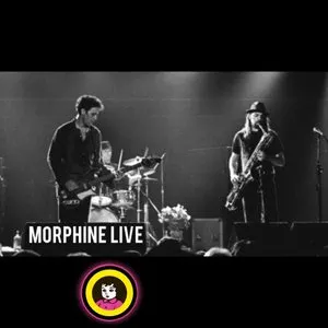 Pochette de 1994-05-23 Pinkpop Festival, Landgraaf, Netherlands de Morphine