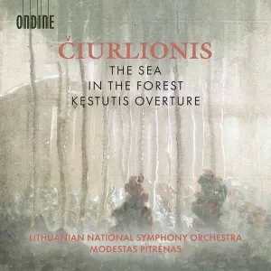 Pochette de The Sea / In the Forest / Kęstutis Overture de Lietuvos nacionalinis simfoninis orkestras