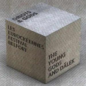 Pochette de Limited Box (Griots & Gods | Super Ready/Fragmenté Tour | 20th Anniversary Show) de The Young Gods