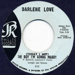 Pochette (Today I Met) The Boy I'm Gonna Marry / Playing for Keeps