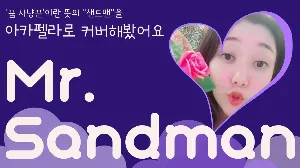 Pochette de Mr. Sandman de Sera Ryu