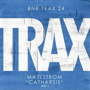 Pochette de Catharsis, Part 1 de Maelstrom