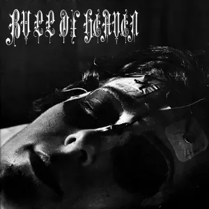 Pochette de 019: Hypnosis, Drugs, and Mind Control (The Beginning: A Touch) de Bull of Heaven