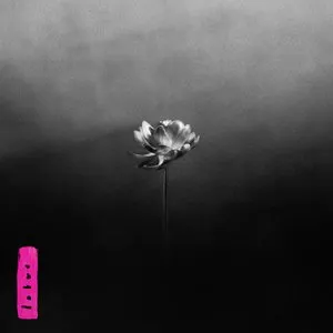 Pochette de Lotus de Little Simz