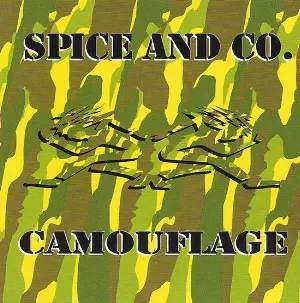 Pochette Camouflage