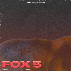 Pochette Fox 5