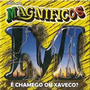 Pochette de É chamego ou chaveco de Banda Magníficos