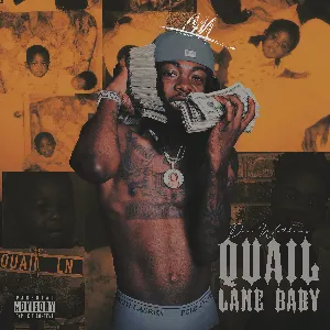 Pochette de Quail Lane Baby de Dee Watkins