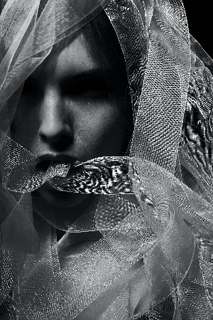 Pochette de The Veil Between the Worlds de Scott Lawlor