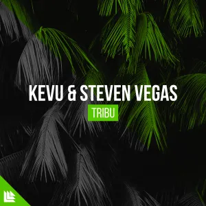 Pochette de Tribu de Steven Vegas