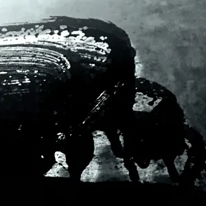 Pochette de Fuyu No Shovel (Winterschaufeln) de Ueda Takayasu