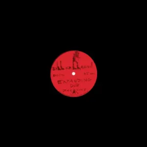 Pochette de Expanding Dub de Bill Callahan