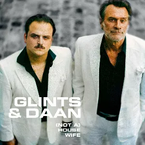 Pochette de (Not a) Housewife de Daan