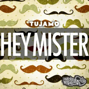 Pochette de Hey Mister de Tujamo