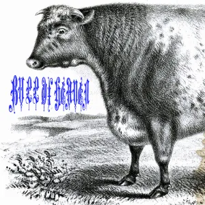 Pochette de 285: A Violet Breath de Bull of Heaven