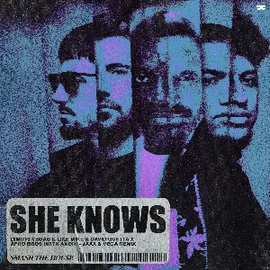 Pochette de She Knows (Jaxx & Vega remix) de Dimitri Vegas - Akon - David Guetta - Afro Bros