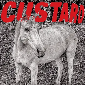 Pochette de Monday / What Am I Gonna Do de Custard