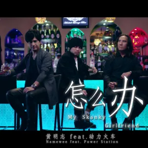 Pochette de 怎么办 (My Skanky Girlfriend) de Namewee